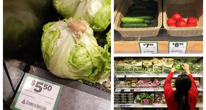 Avustralya’da yaşanan selin ardından marul kıtlığı yaşanıyor