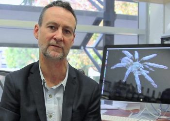 Queensland Üniversitesi’nden araştırma: Örümcek zehrinden kalp krizi ilacı geliştirildi