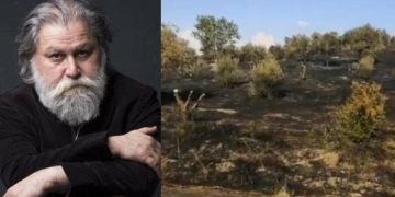 Nesin Vakfı’na ait Matematik Köyü kundaklandı, Ali Nesin isyan etti: Nasıl böyle olabildi bu toplum?