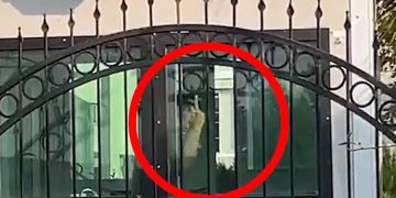 Osmaniye’de 14 kişi darp edildi:AKP rejiminin polisinden Furkan Vakfı Gönüllüsü bayanlarına ahlaksız hareket