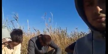 Türk sığınmacılar, Yunanistan tarafında bataklık kaplı bir adada 6 gündür mahsur