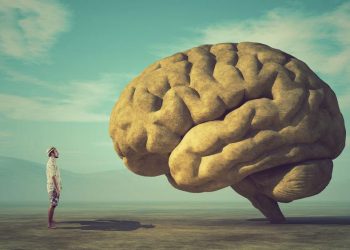 Dünya’nın en zeki ülkeleri açıklandı: Avustralya zeka ağı en yüksek  4. ülke