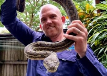 Büyük şok; Queensland’de dünyanın en ölümcül ikinci yılanı