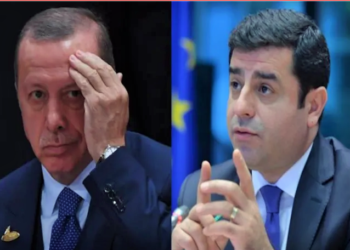 ‘YSK’ya itiraz edeceğim ‘diyen Demirtaş: Erdoğan kral mı ki yasalar onu bağlamıyor, kralını tanımam