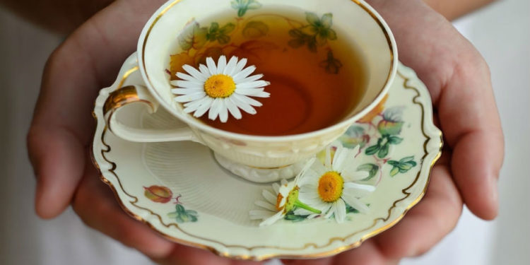 Papatya çayı, gece uyku öncesi hem beyne iyi geliyor hem mideye…